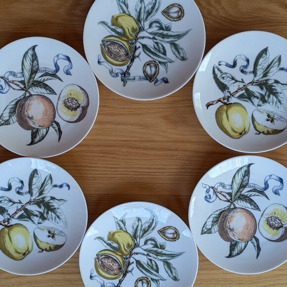 Vintage Bareuther Bavaria Botanical Fruit Plates Set-6 Pattern 132 Hand Painted